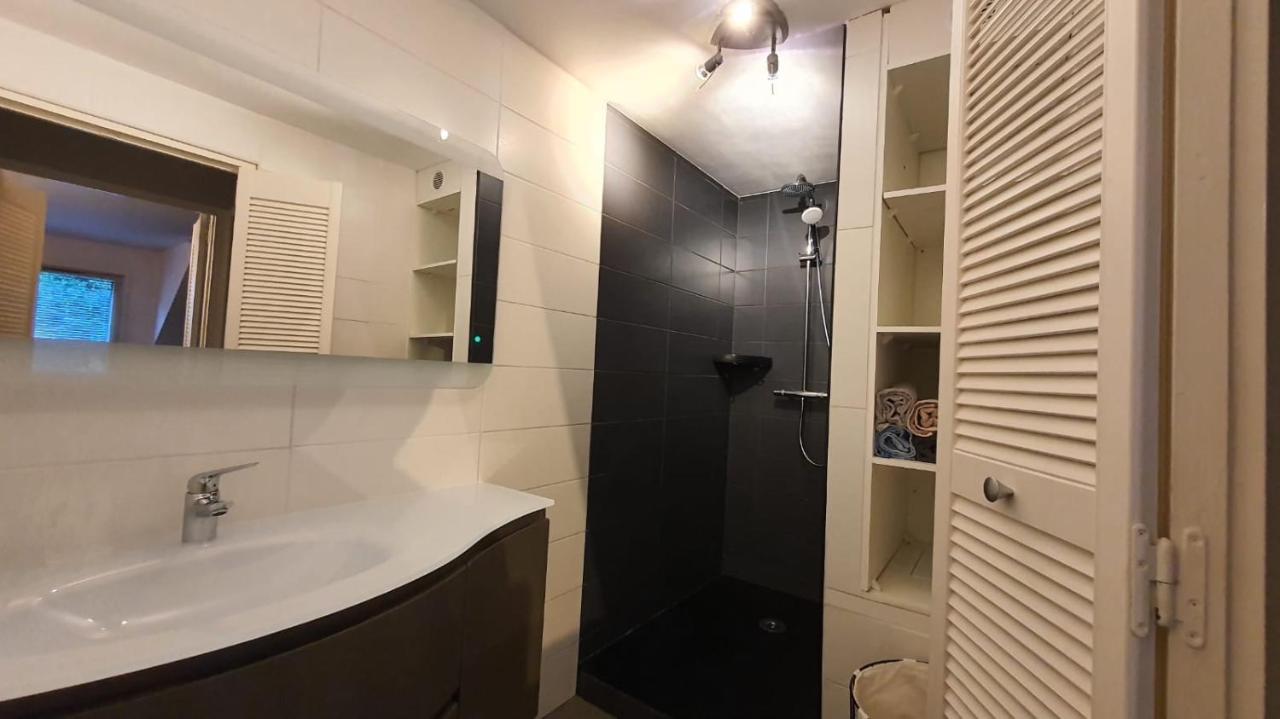 Sévrier Charmant Duplex Face Au Lac מראה חיצוני תמונה