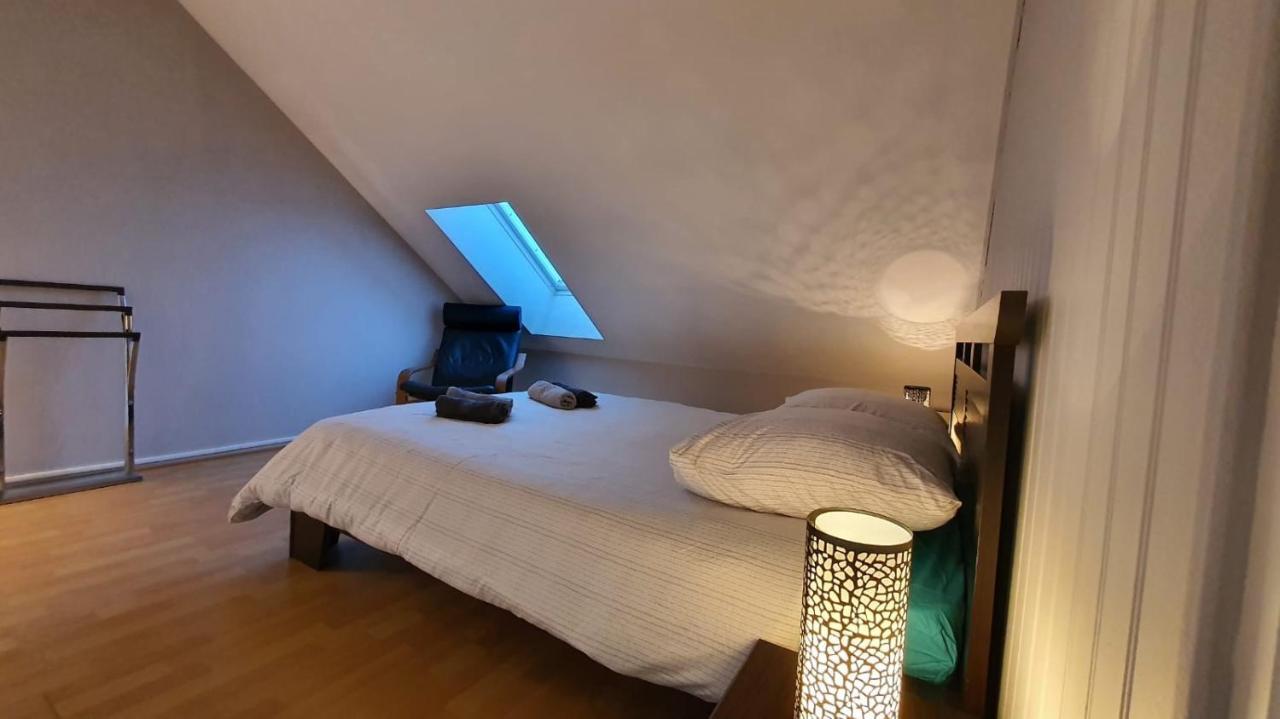 Sévrier Charmant Duplex Face Au Lac מראה חיצוני תמונה